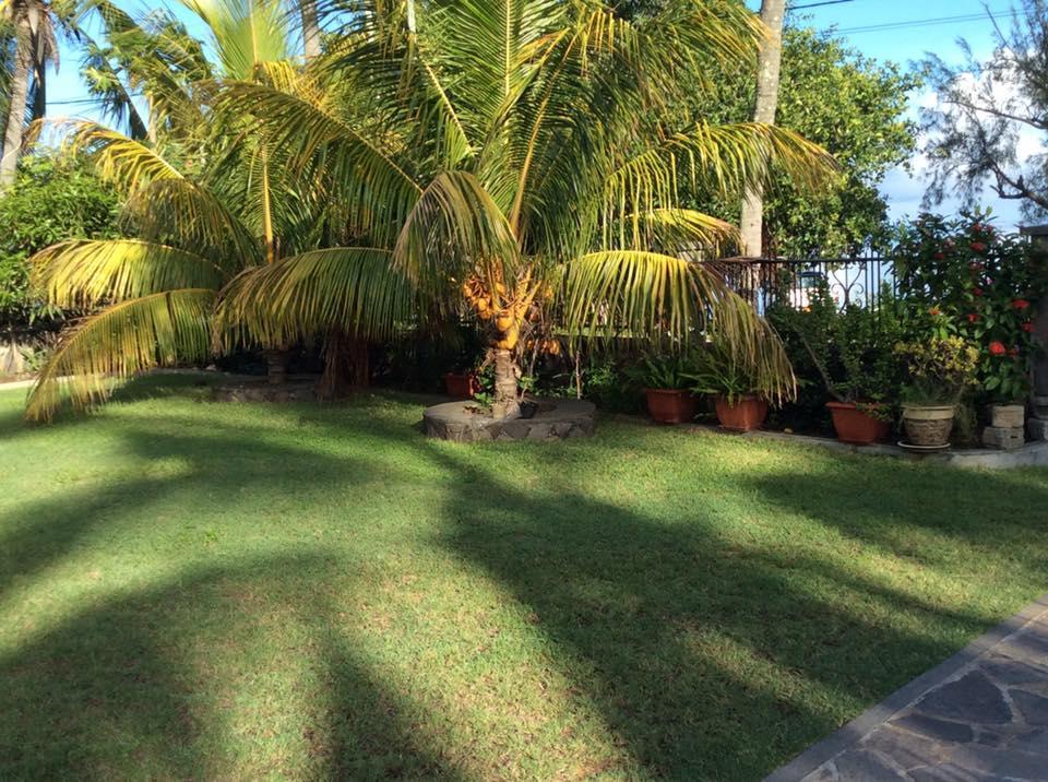 The Beach House Rodrigues Bambou Bagian luar foto