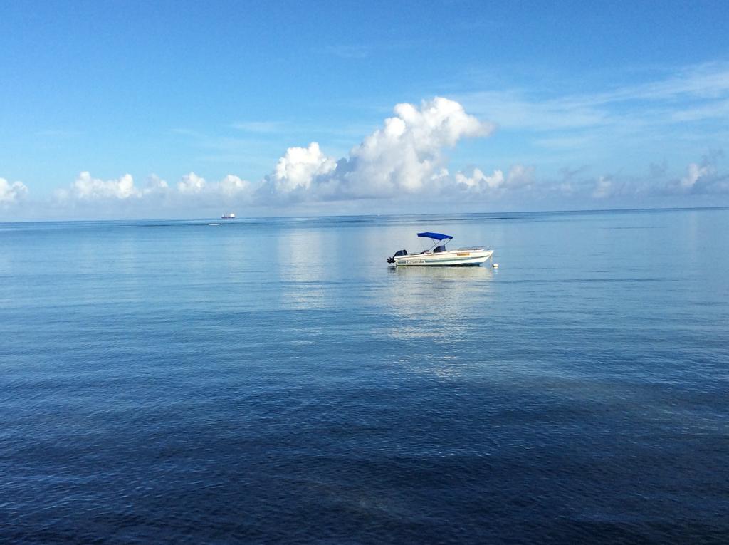 The Beach House Rodrigues Bambou Bagian luar foto
